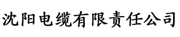 人妻AV在线电缆厂logo